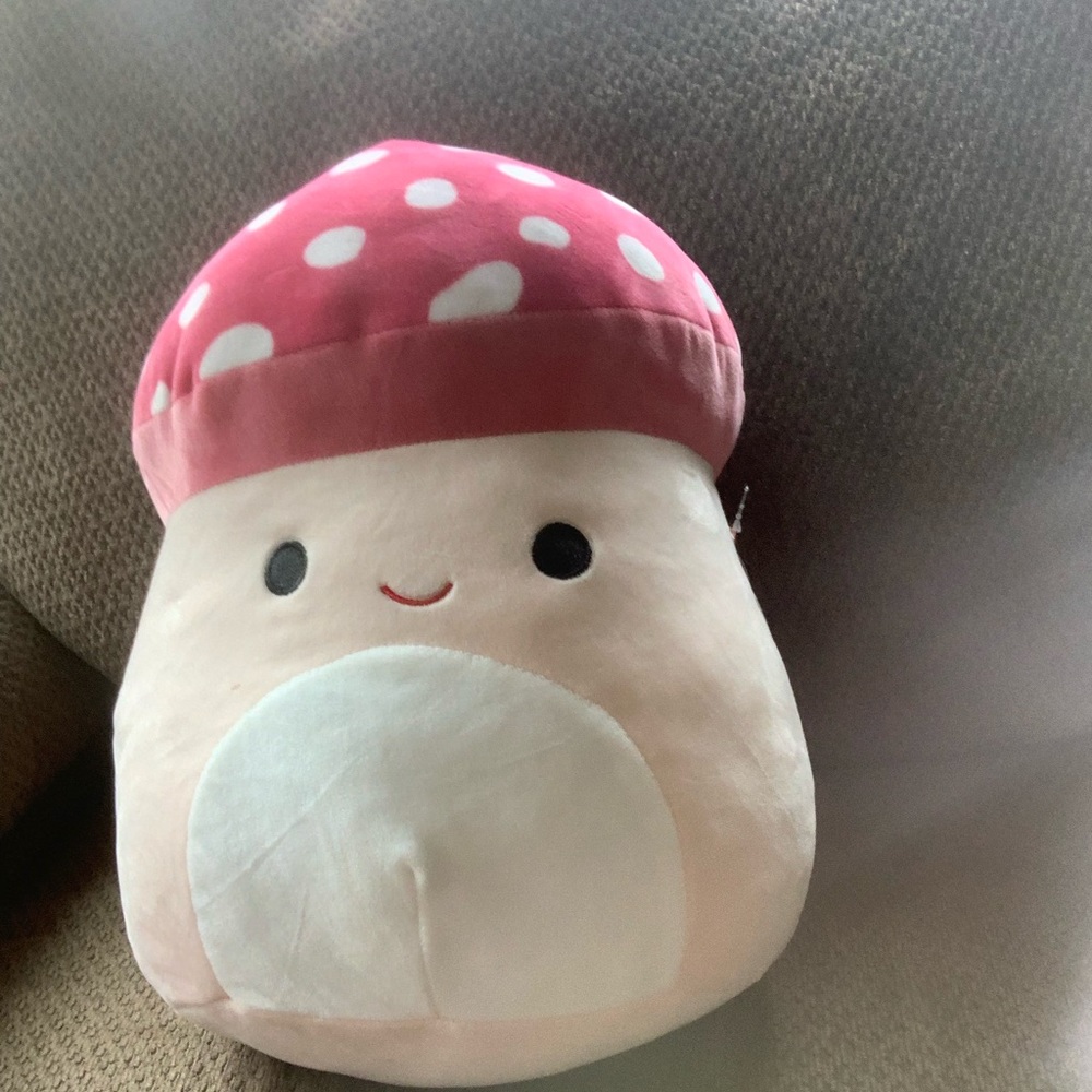 Malcom squishmallow